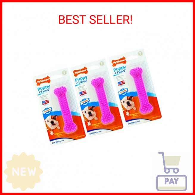 Nylabone (3 Pack) Just for Puppies Petite Pink Dental Bone Chew Toy