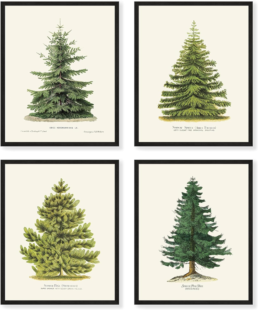 4 Pine Tree Prints, 8