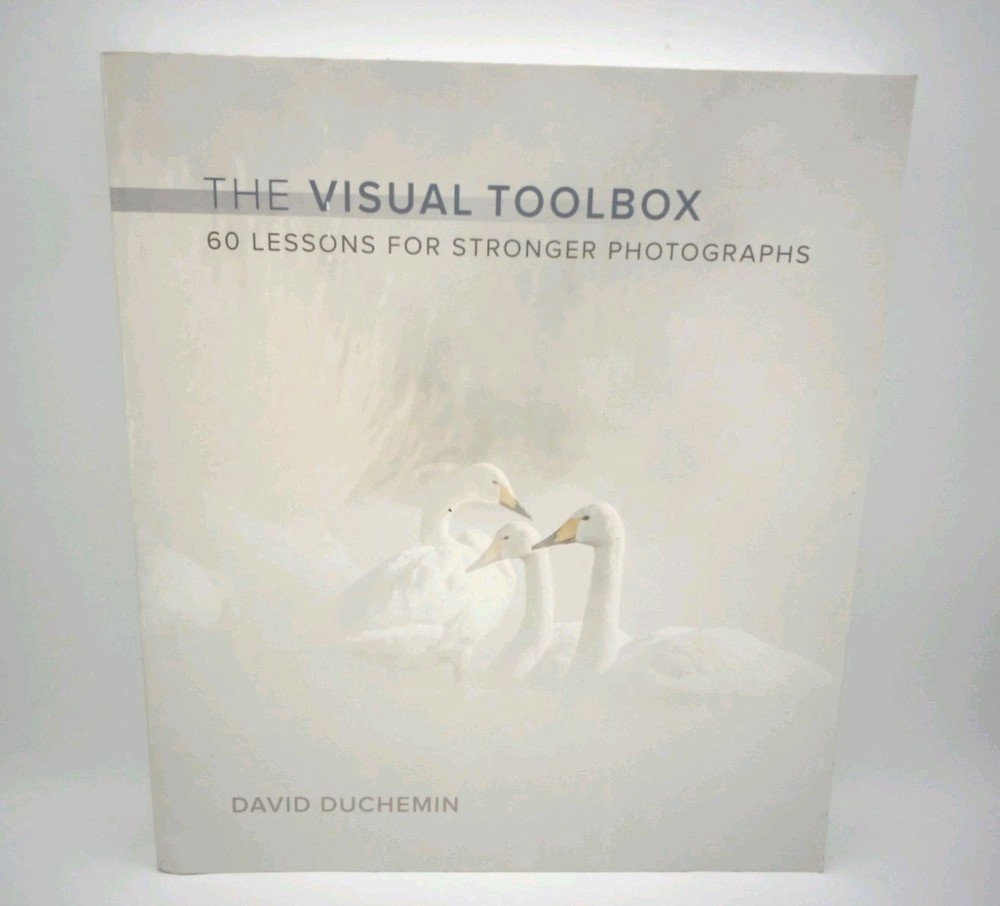 Master Photography with 60 Essential Visual Lessons – Voices That Matter-image