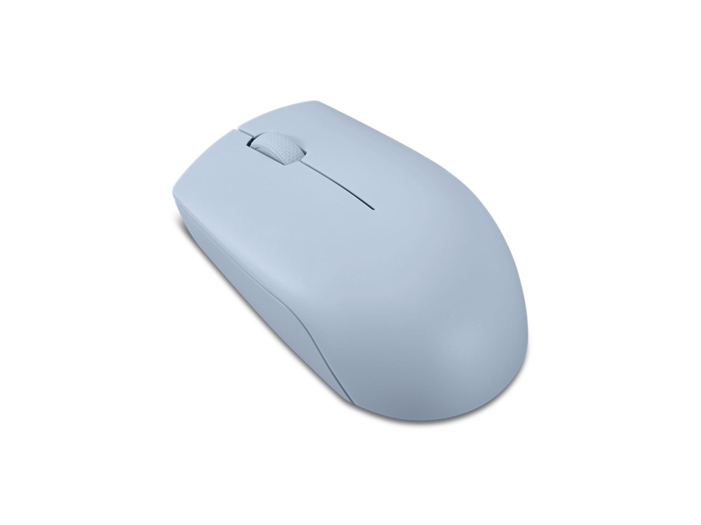300 Wireless Mouse – Computer Mouse for PC, Laptop with Windows – Ambidextrou...
