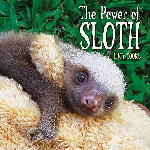 The Power of Sloth - Hardcover By Lucy Cooke - GOOD