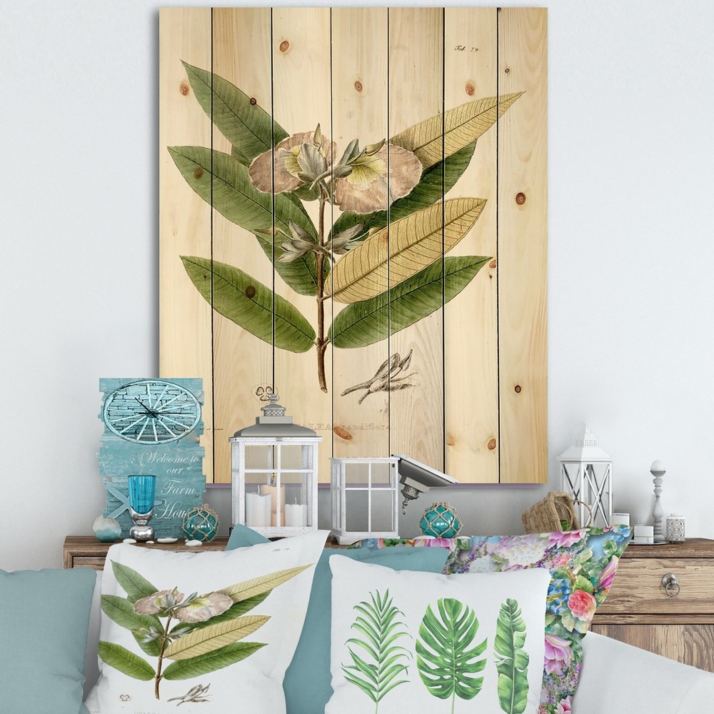 Designart 'Vintage Blossoming Flower II' Traditional Print