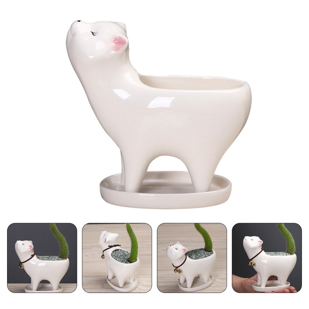 Planters for Indoor Plants Cat Ceramic Flowerpot Garden Decoration Succulent