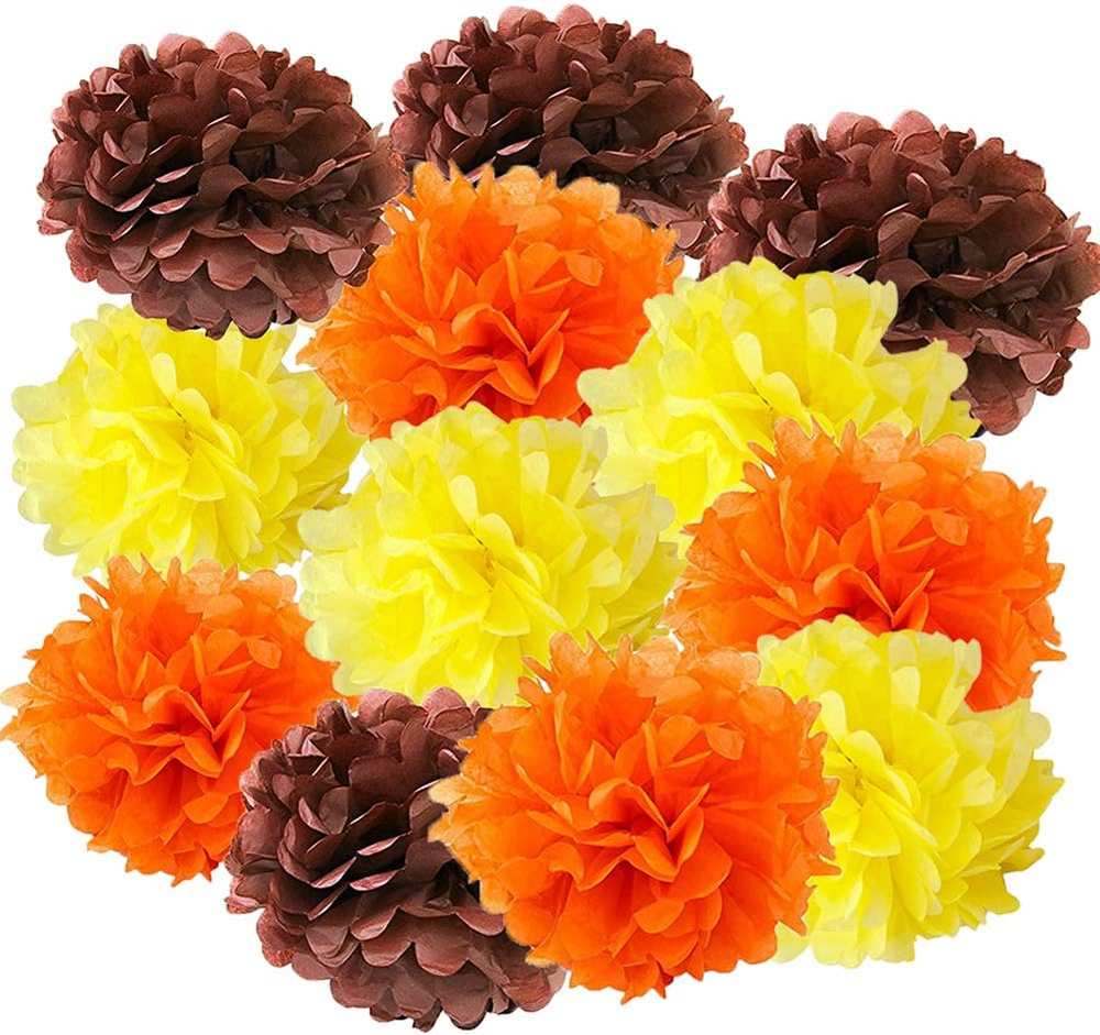 Vibrant Fall Thanksgiving Tissue Paper Pom Poms 12Pcs Set for Autumn Decor