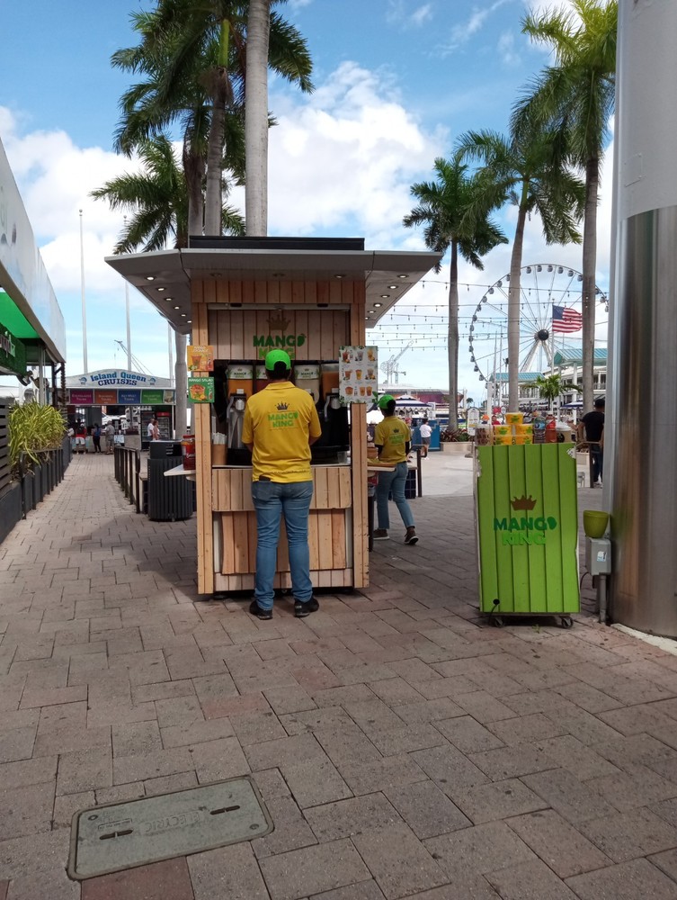 Captivating Photography Tips and Techniques for Stunning Shots