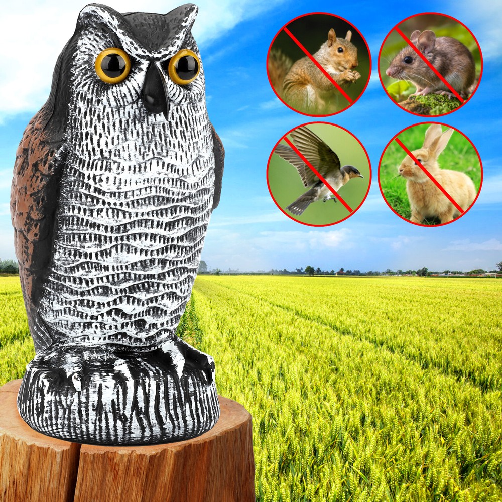 Vivid Owl Decoy Statue for Garden Pest Control and Bird Repellent Outdoor
