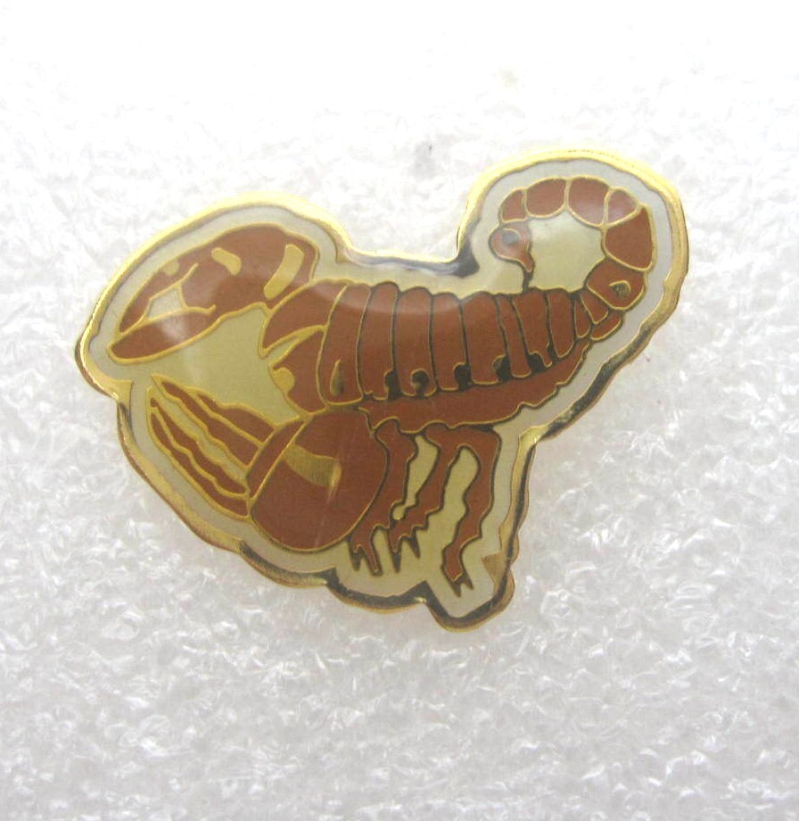 Scorpion Insect Lapel Pin (B870)