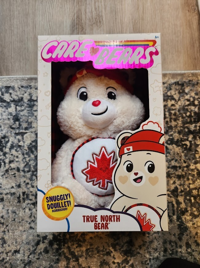 Care Bears True North Snuggly Bear - 14