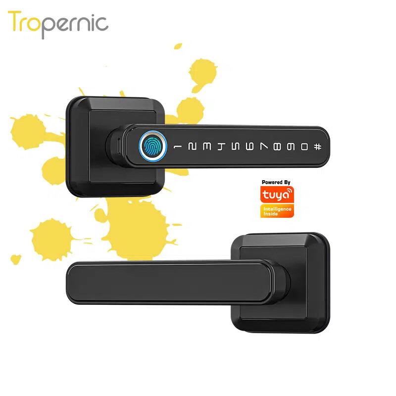 Biometric Fingerprint Keyless Entry Smart Door Lock with Digital Keypad-image