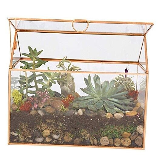 Geometric Glass Terrarium for Succulents & Air Plants - 10x6x8 Inches DIY Deco