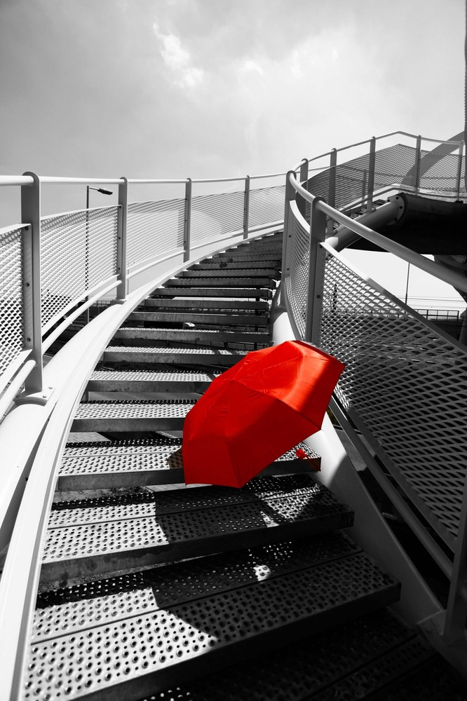 High-Quality Digital Photo Prints for Every Occasion