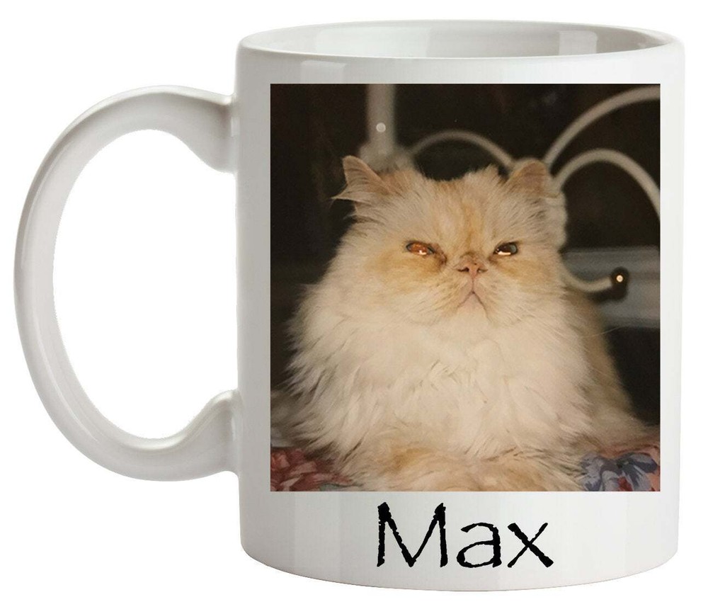 Personalized Mug Pet Sympathy Gift Cat Mug Cat Memorial Custom Mug For Crazy Cat