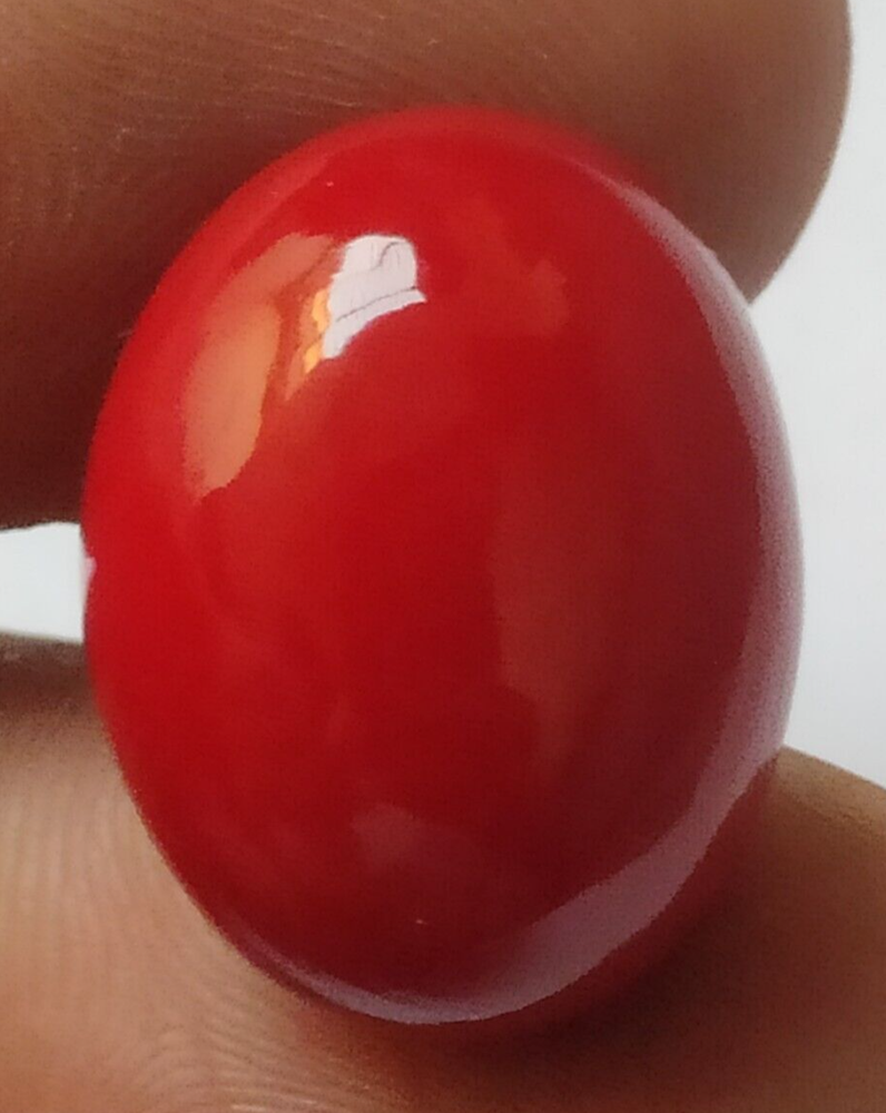 AAA+ Natural Red Coral 61.20 Ct. Beautiful Italian Oval Cabochon Loose Gemstone