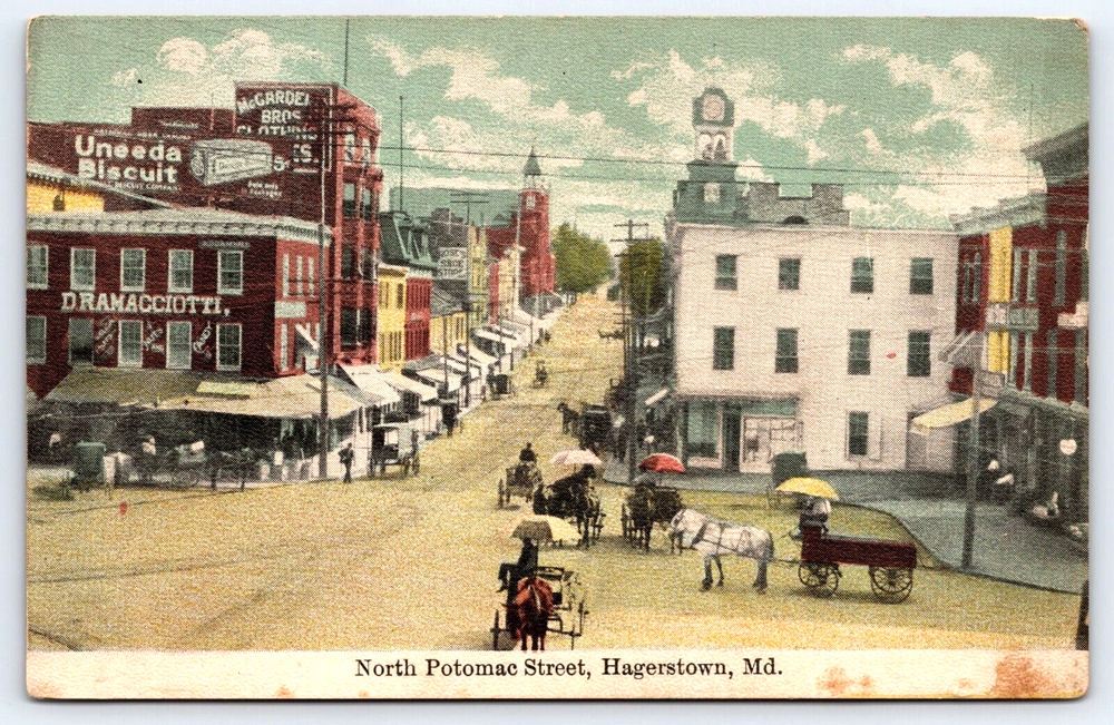 VINTAGE OLD ANTIQUE POSTCARD POTOMAC STREET BUILDINGS HORSES HAGERSTOWN MARYLAND