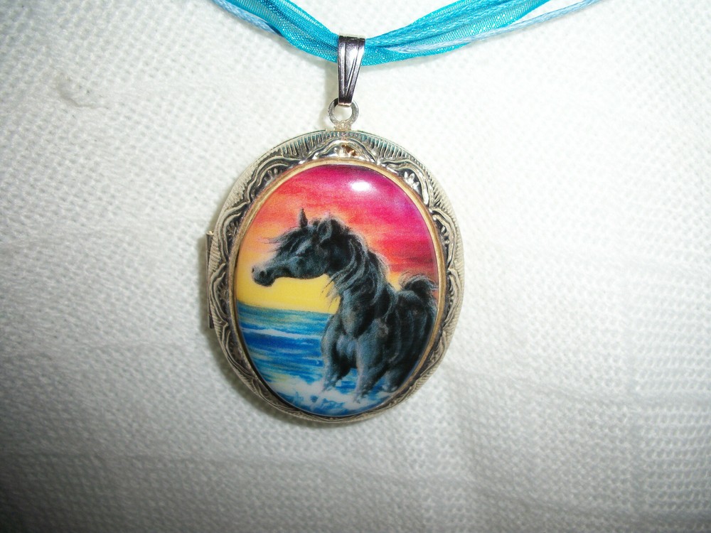 PICTURE LOCKET PORCELAIN HORSE OCEAN SUNSET PICTURE LOCKET CAMEO RIBBON  CHAIN