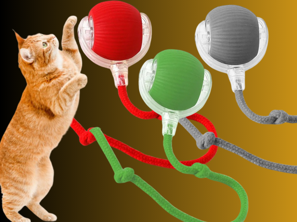 2 Interactive cat and dog entertainment electric rolling automatic moving  ball.