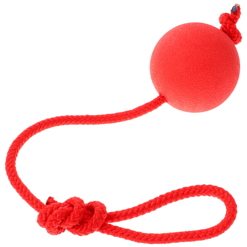 Dog Exercise Toys Dog Rope Toy Fetch Balls Dogs Indestructible Rope Dog Toys