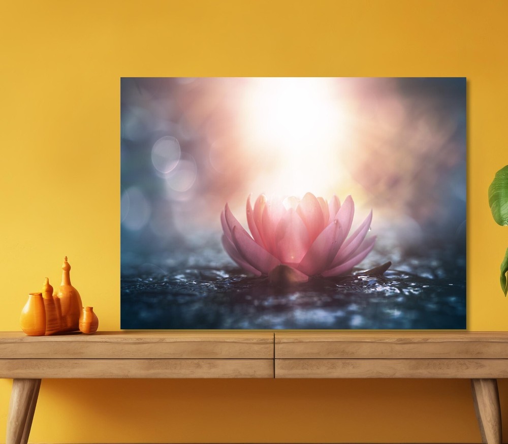 Pink Flower & Sunlight View 5mm thick Plastic Poster Ready to Hang 60x45cm