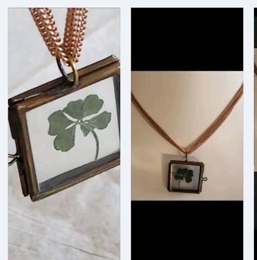 Real 6-Leaf Clover Copper Photo Charm Necklace 16