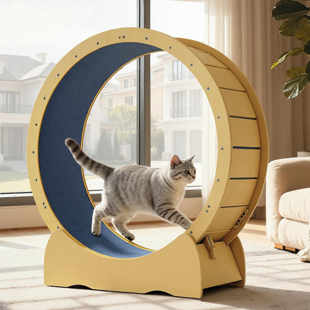 Indoor Cat Running Wheel with Removable Carpet Track Solid Wood Running Wheel