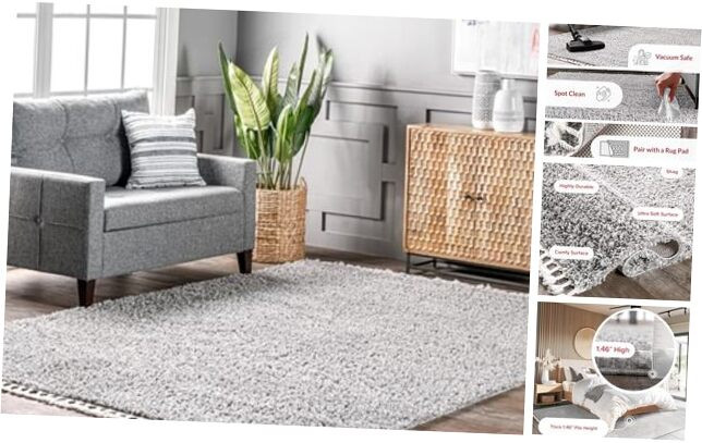 Neva Modern Grey Shag Accent Rug with Tassels 2x3