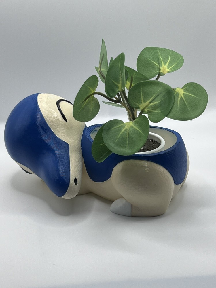 Cyndaquil Pokemon Flower Succulent Pot Planter 3D Printed Hand Painted WYSIWYG