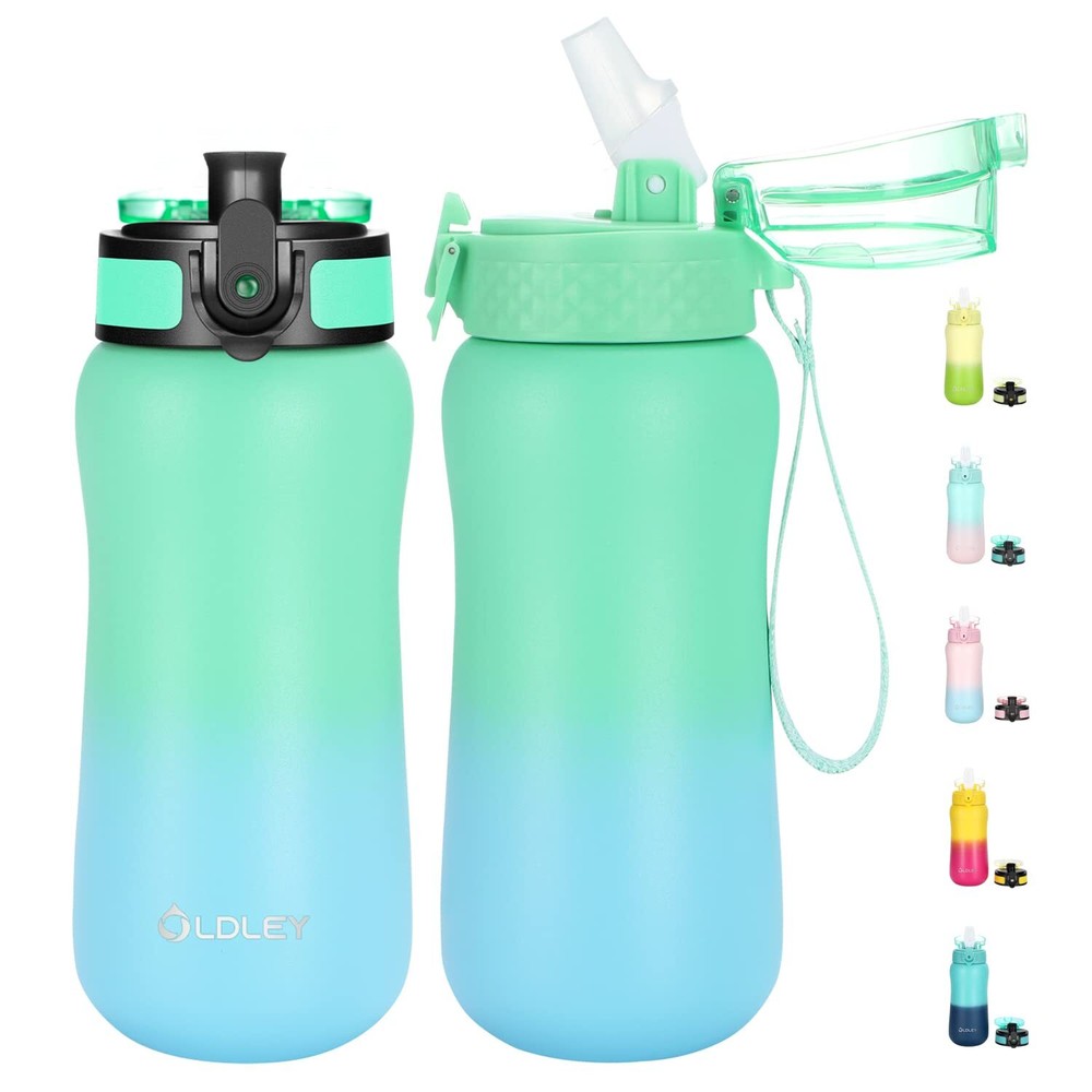 Insulated Water Bottle 12oz Water Bottles with Straw, Stainless Steel Water B...