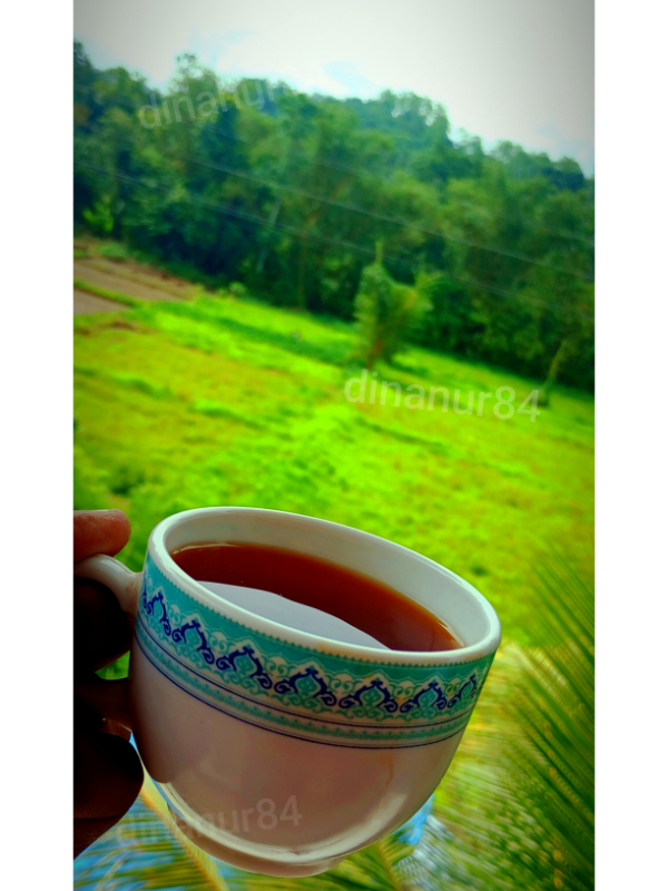 Stunning Digital Photo Art Wallpaper Backgrounds for Photography-image