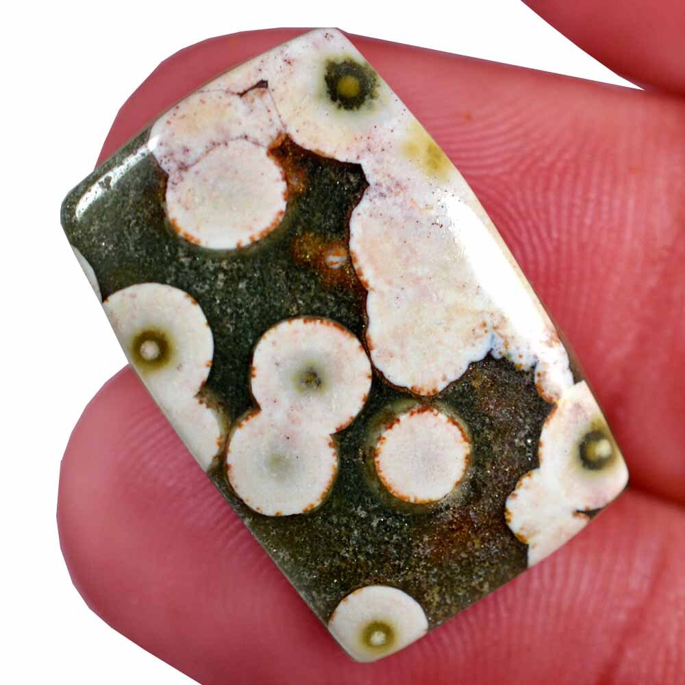 18.80 Cts 100% Natural Ocean Jasper Designer Loose Cabochon Royal Gemstone U86