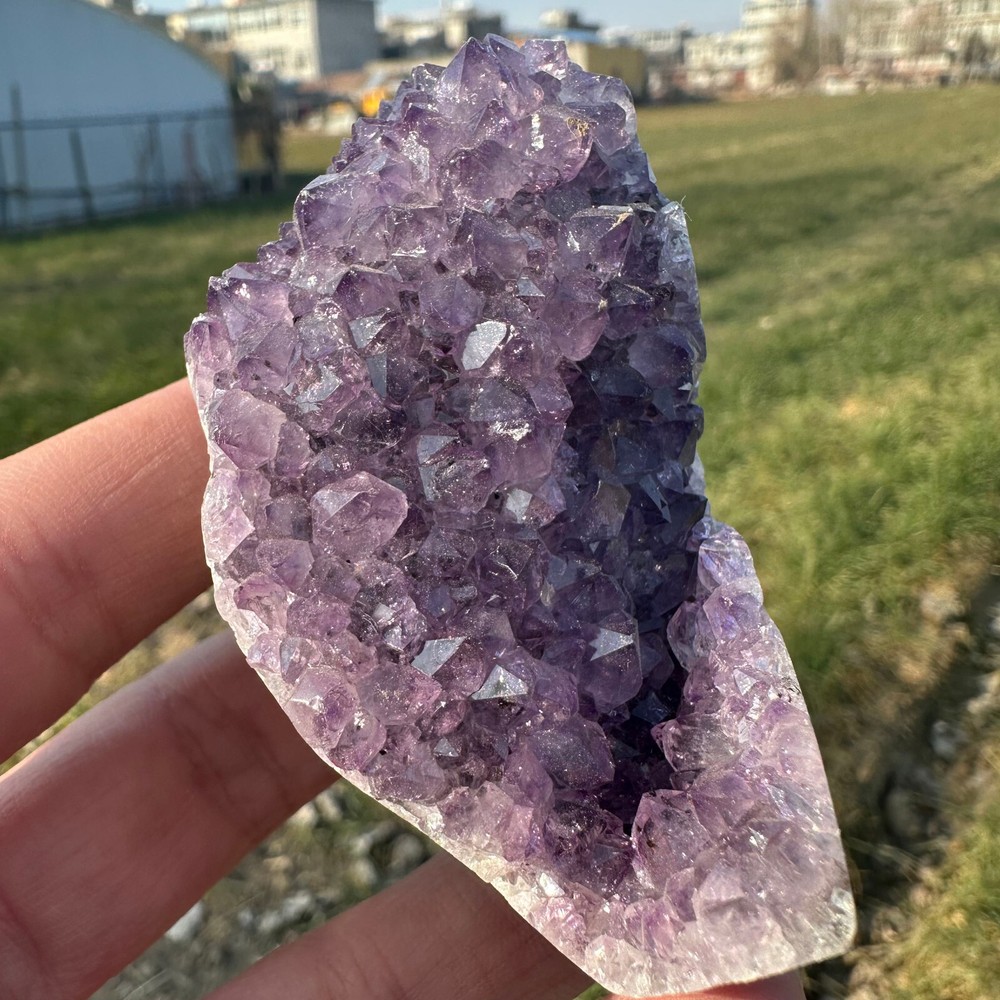 Natural Amethyst Geode Quartz Cluster Crystal Specimen Cut Base