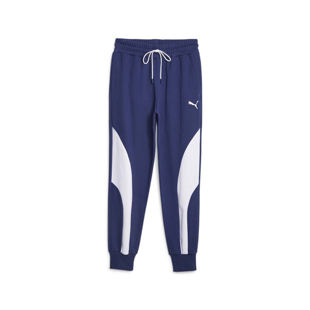 Puma Blueprint Formstrip Pants Mens Blue Casual Athletic Bottoms 62207902