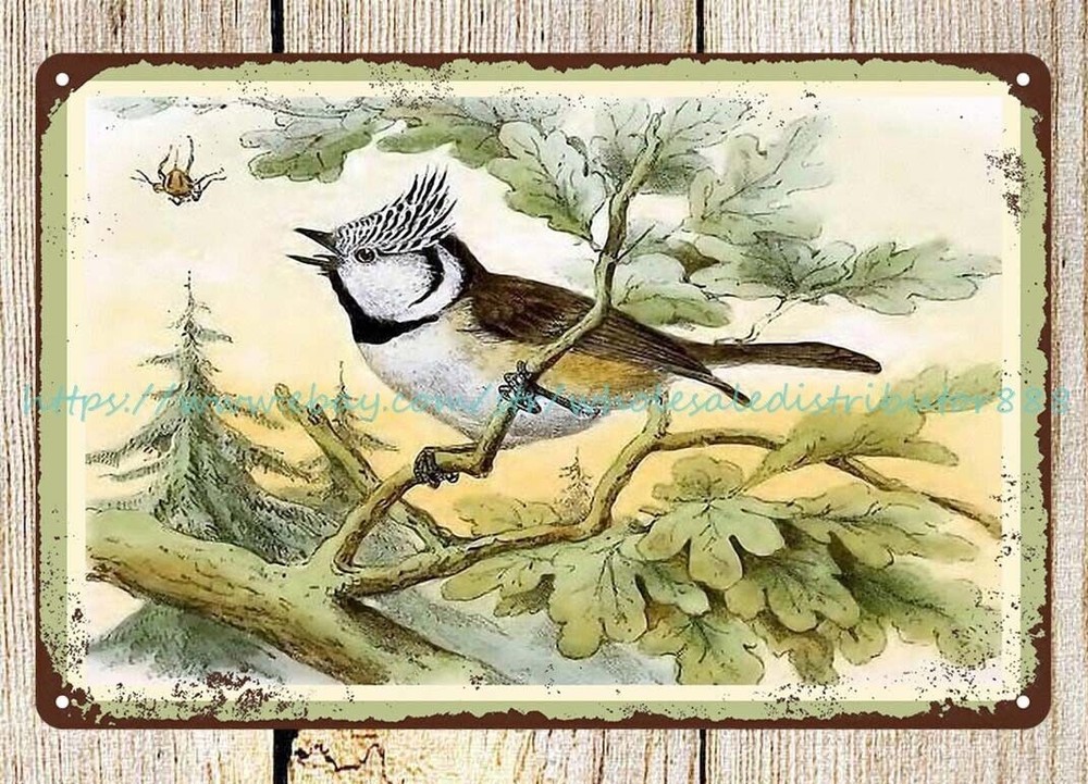 European Crested Tit Plaque Lodge Cafe Metal Tin Sign