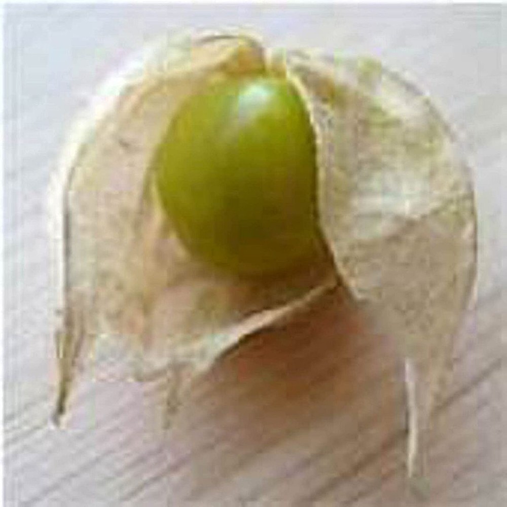 25 Seeds Aunt Molly S Ground Cherry Seeds (More Heirloom Organic Non GMO Vegetab