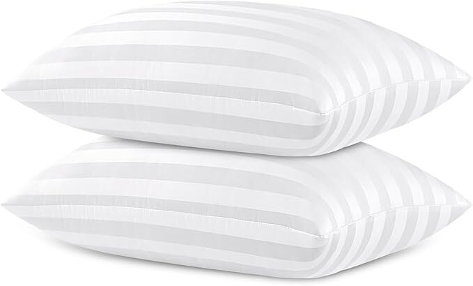 2-Pack Queen Size Down Alternative Pillows – 20x30 Inches