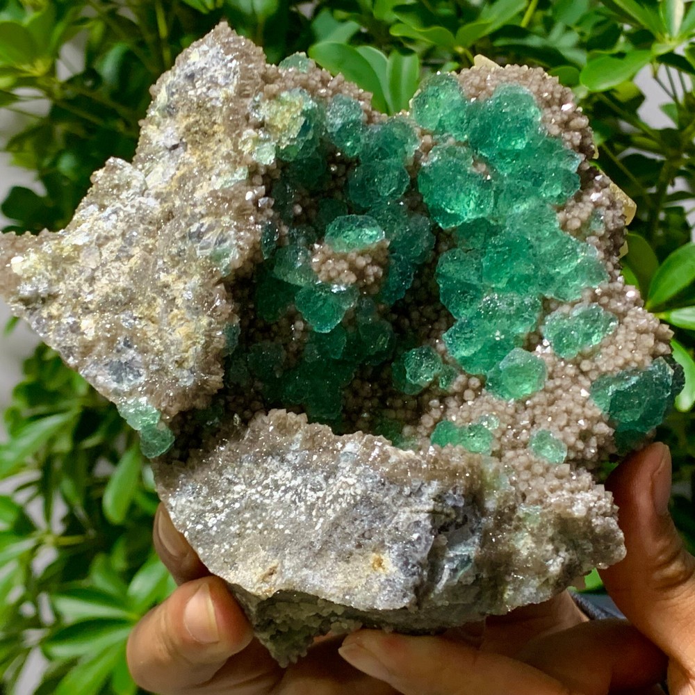 2.64LB Rare transparent GREEN cubic fluorite mineral crystal sample/China