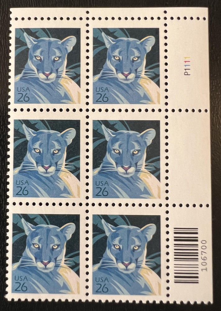 Scott 4137 Florida Panther Plate Block of Six!  Plate P1111 2007 MNH - Buy Now-image
