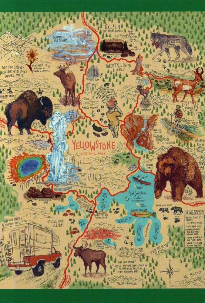Yellowstone National Park Wyoming, Old Faithful, Bear, Bison etc. - Map Postcard