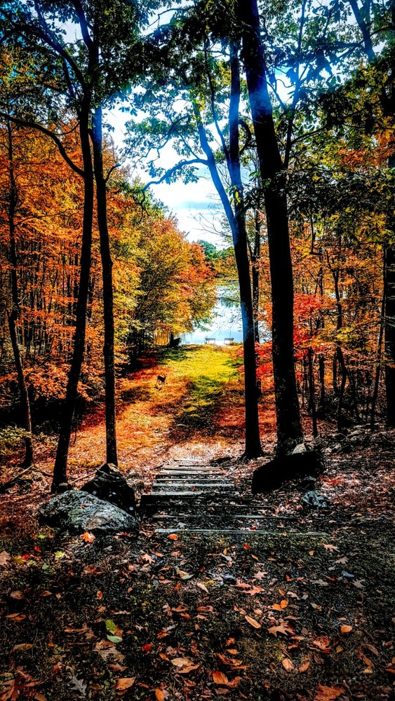 Stunning nature photography digital wallpaper download for art and decor-image