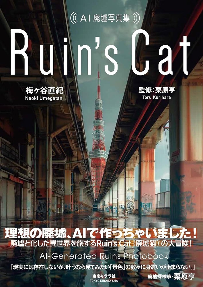 AI ruined photo album Ruin's Cat Art Collection Tokyo Kirarasha Japanese Book