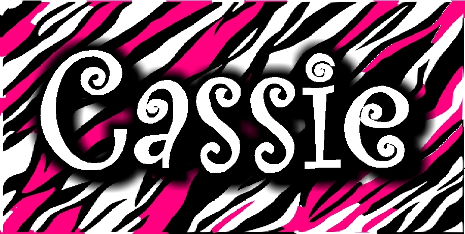 Custom Zebra Print License Plate - Hot Pink & Black Monogrammed Car Tag-image