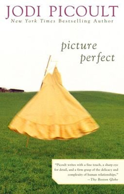 Picture Perfect Paperback Jodi Picoult