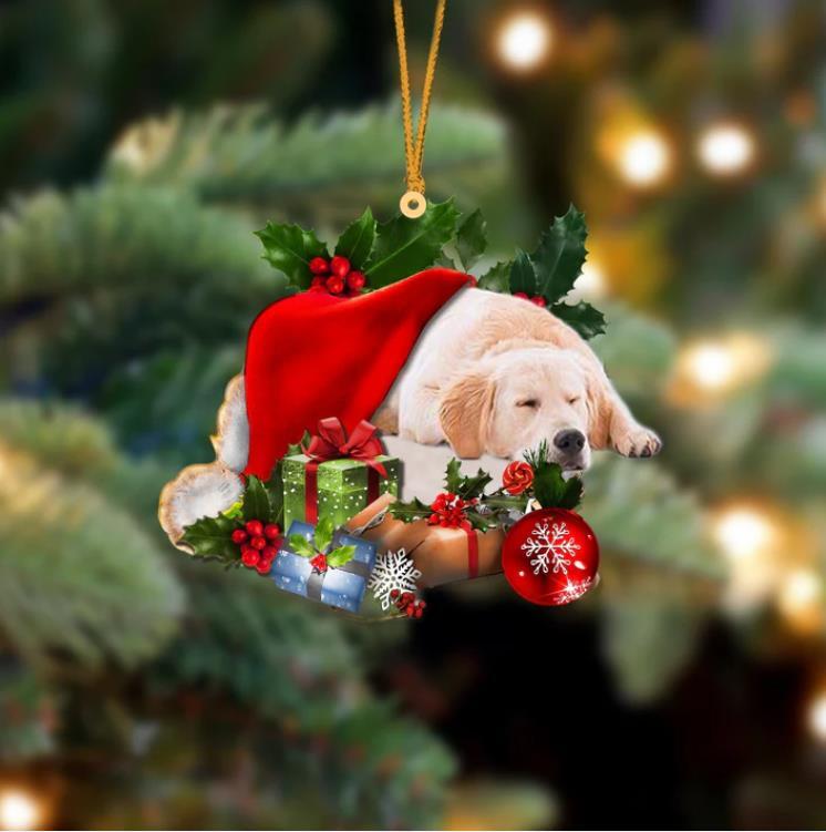 Golden Retriever Sleeping In Hat Christmas Ornament