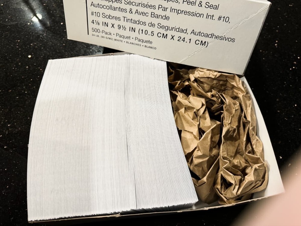 250 Count #10 Business Envelopes with Security Tint 4.1