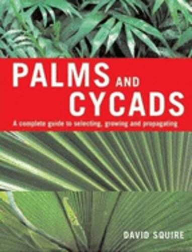 Palms and Cycads: A Complete Guide to Selecting, Growing and Propagating: Used