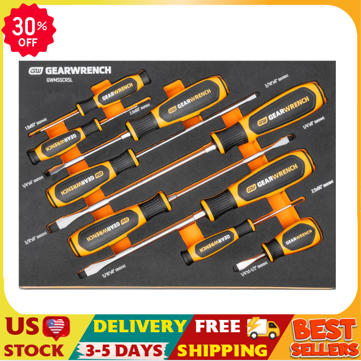 GEARWRENCH 9-Piece Slotted Screwdriver Set in Foam Tray - GWMSSCRSL
