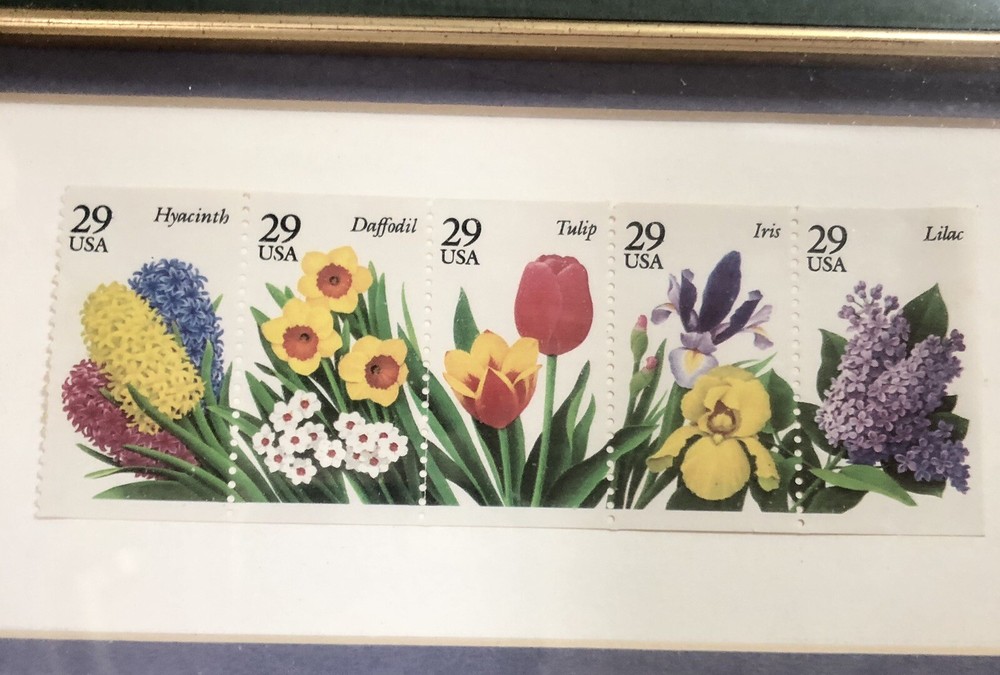 Garden Flower Series 1st Installment 1993 US Postage Stamps Gold Ornate Frame-image