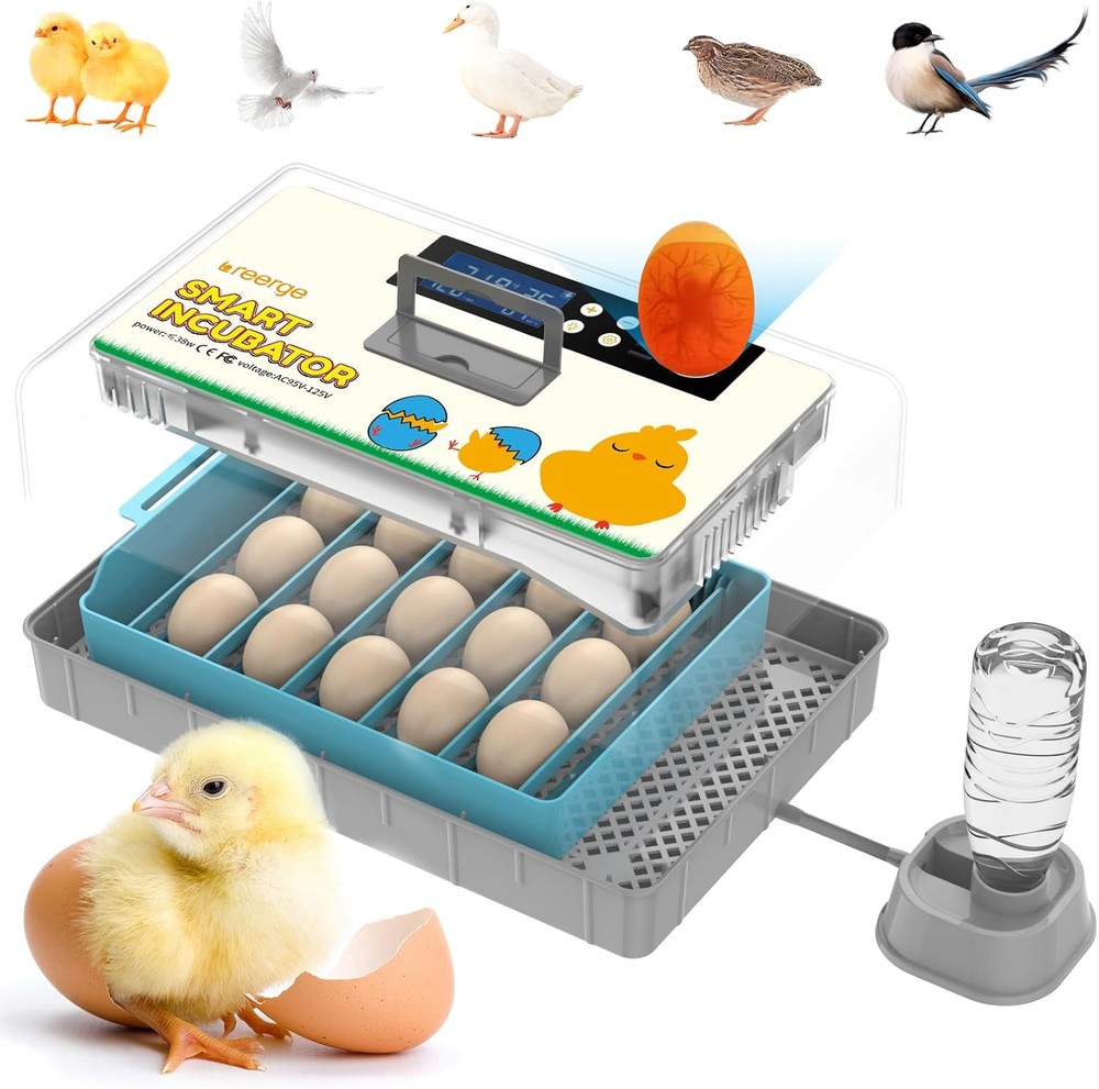 15 Egg Incubators for 14.7