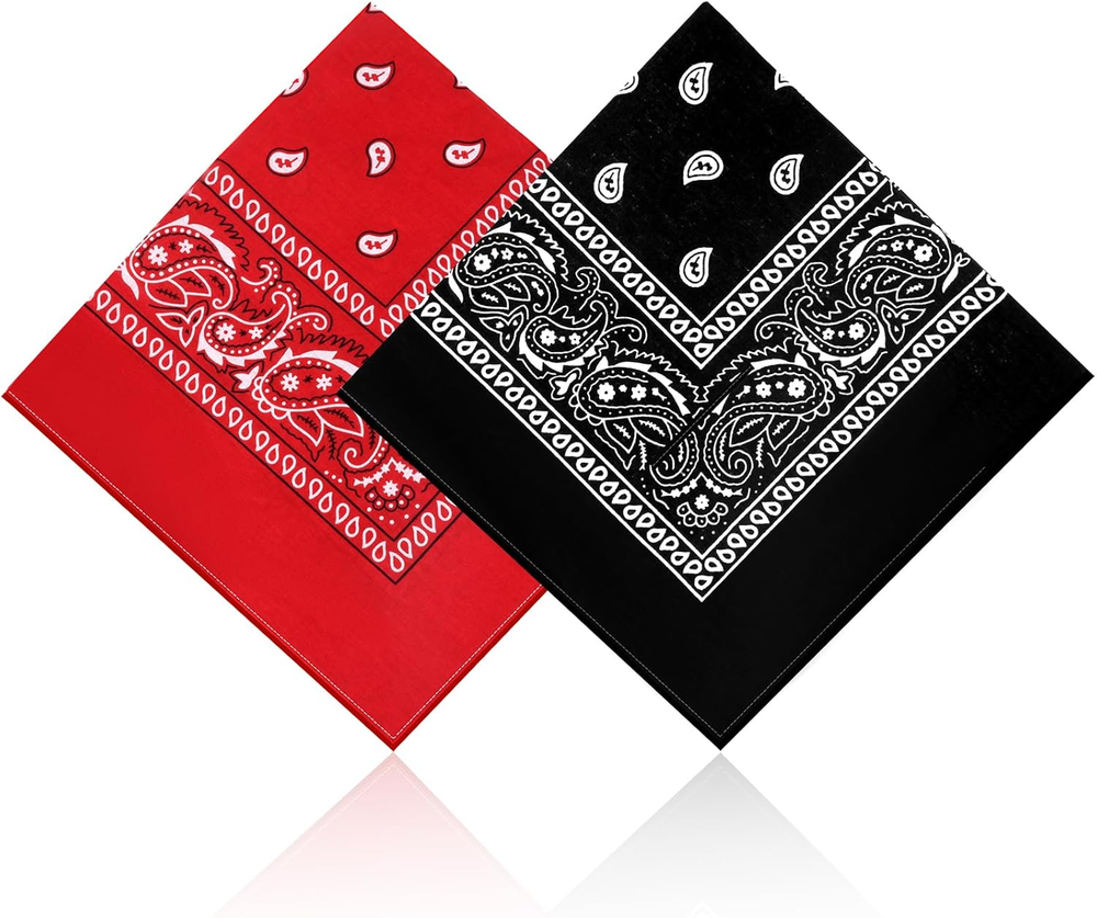 2-Pack Cotton Paisley Bandanas for Men and Women - Novelty Print Headwear