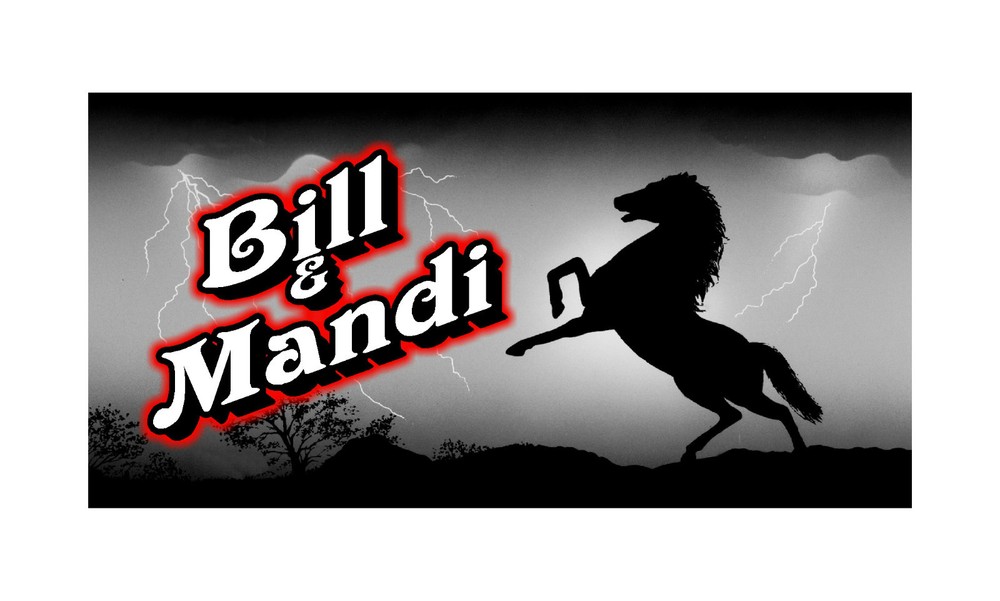 Custom Monogrammed Lightning Mustang Horse Car License Plate Tag 1-image