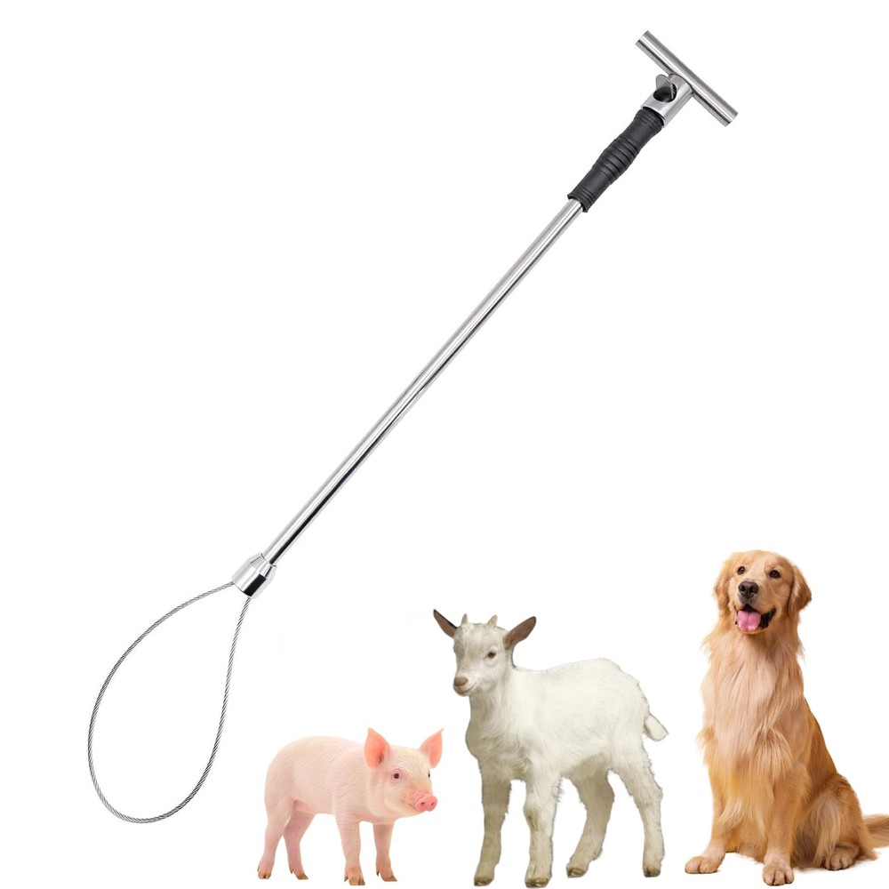 Heavy-Duty Stainless Steel Hog Catcher Pole for Pig and Dog Control